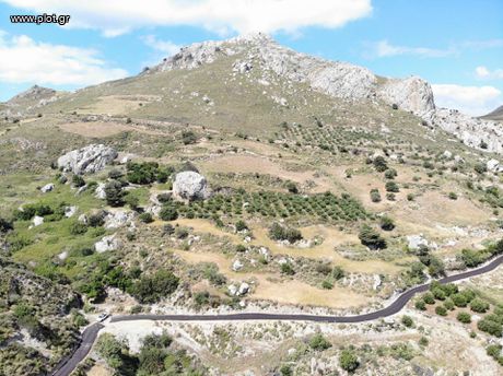 Αγροτεμάχια 5.364τ.μ. για πώληση-Φοινίκας » Γιαννιού