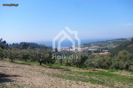 Αγροτεμάχια 4.995 τ.μ. για πώληση