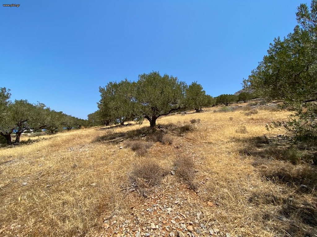 Οικόπεδο 9.552 τ.μ. πρός πώληση, Ν. Λασιθίου, Ιεράπετρα
