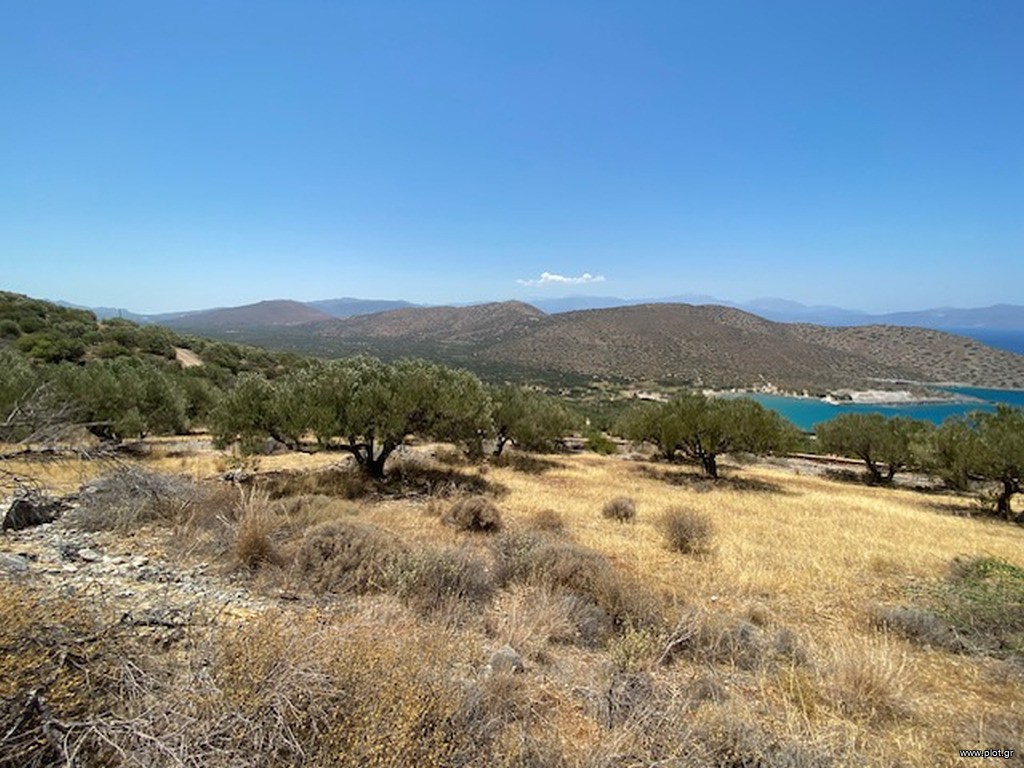 Οικόπεδο 9.552 τ.μ. πρός πώληση, Ν. Λασιθίου, Ιεράπετρα