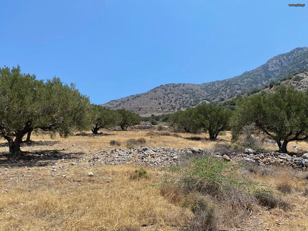 Οικόπεδο 9.552 τ.μ. πρός πώληση, Ν. Λασιθίου, Ιεράπετρα