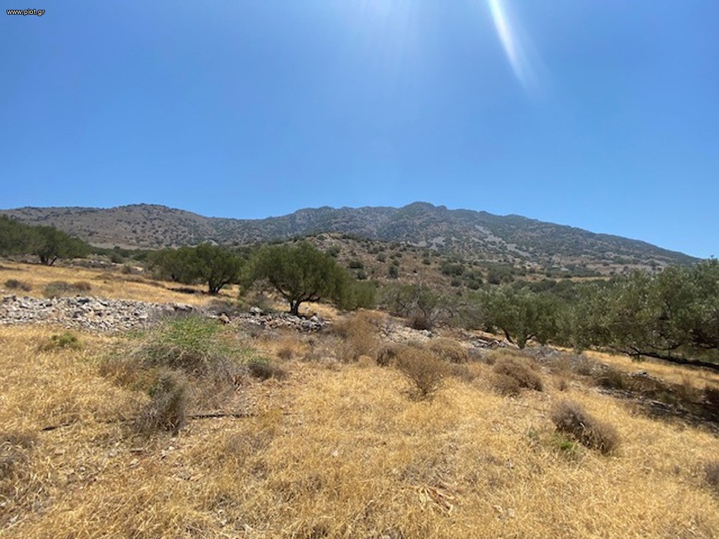 Οικόπεδο 9.552 τ.μ. πρός πώληση, Ν. Λασιθίου, Ιεράπετρα