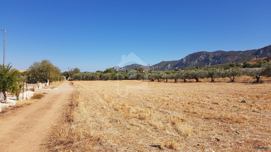 Οικόπεδο 4.969 τ.μ. προς πώληση, Εξαμίλια
