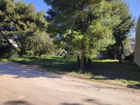 Οικόπεδο 576τ.μ. για πώληση-Κηφισιά » Αδάμες (οικισμός γράμμος - φοίνικας)