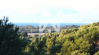 Οικόπεδο 11.700 τ.μ. για πώληση