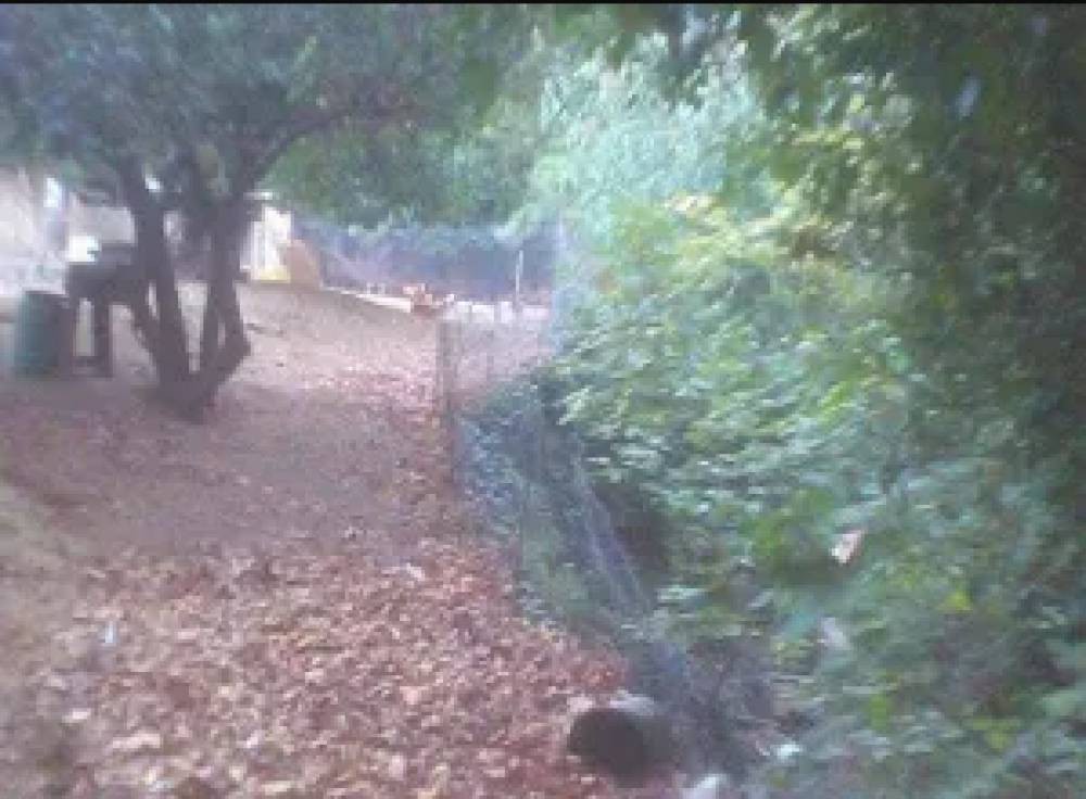 Οικόπεδο 1.768 τ.μ. πρός πώληση, Σποράδες, Σκόπελος