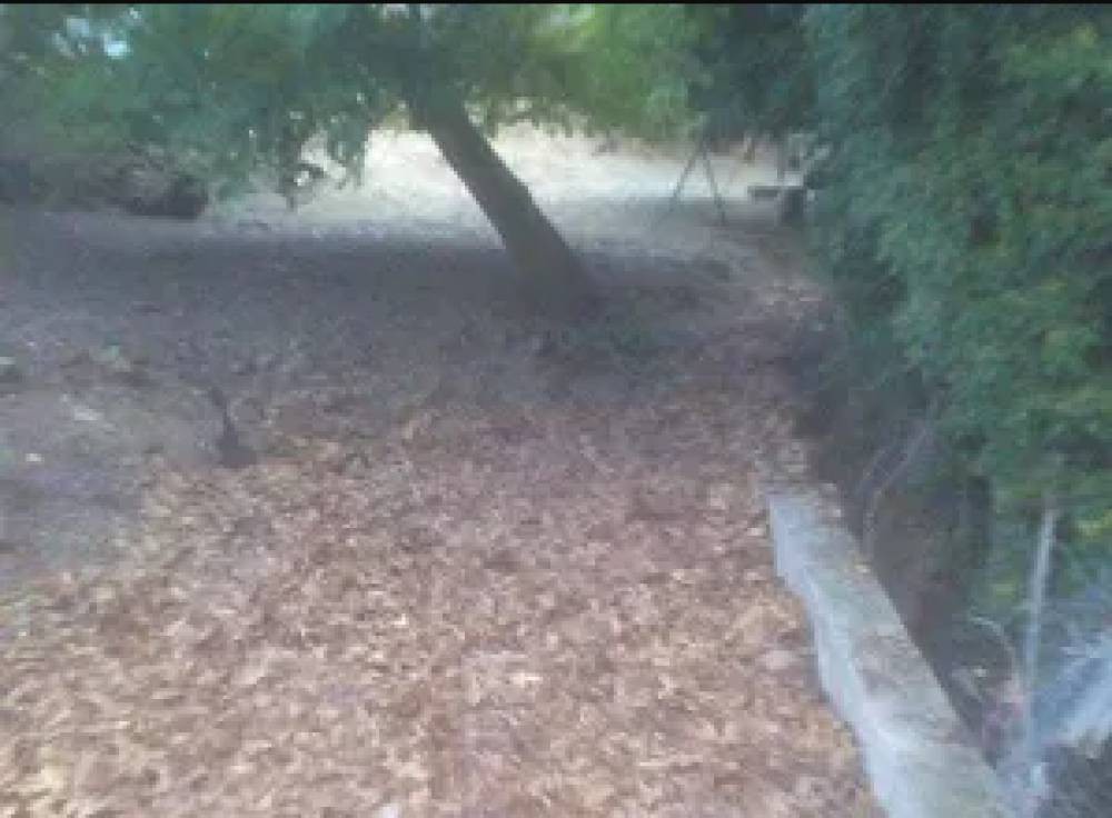 Οικόπεδο 1.768 τ.μ. πρός πώληση, Σποράδες, Σκόπελος