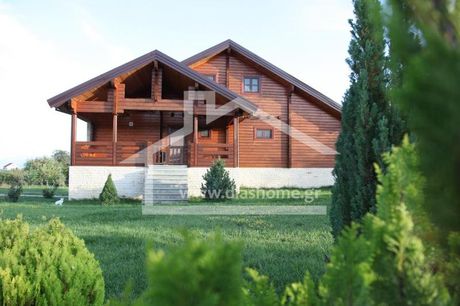 Villa 355sqm for rent-Kozani » Argilos