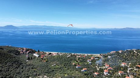 Αγροτεμάχια 5.601τ.μ. για πώληση-Αφέτες » Άφυσσος