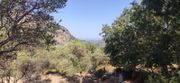 Parcel 5.042sqm for sale-Lappa » Argyroupoli