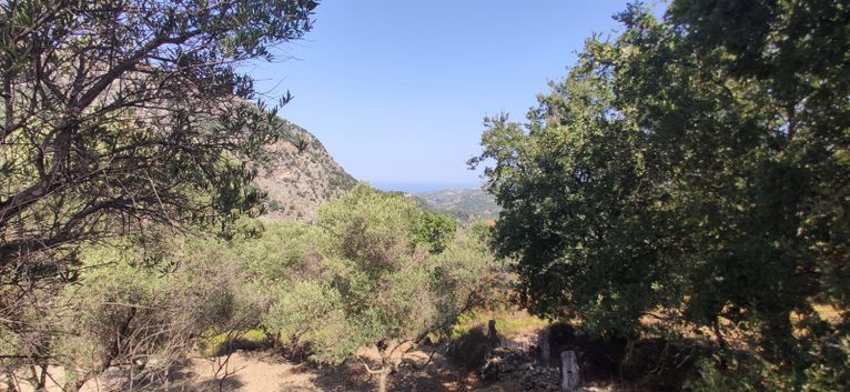 Αγροτεμάχια 5.042 τ.μ. για πώληση, Ν. Ρεθύμνου, Λάππα