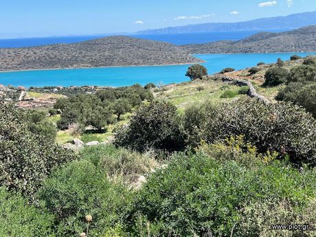 Land plot 4.803sqm for sale-Agios Nikolaos » Epano Pines