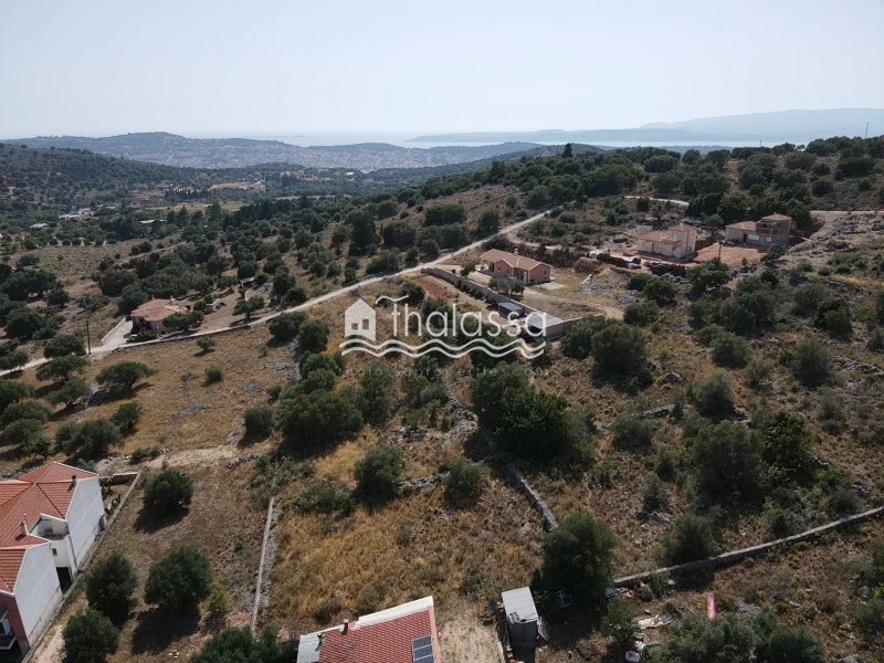 Οικόπεδο 2.400 τ.μ. προς πώληση, Αργοστόλι