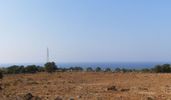 Land plot 36.000sqm for sale-Mallia » Malia