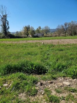 Parcel 5.500sqm for sale-Stagiron - Akanthou » Ierissos
