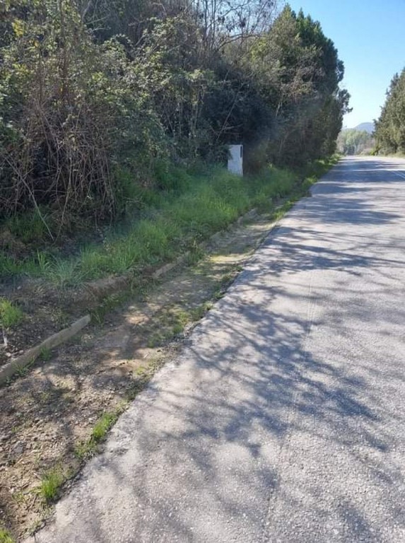 Αγροτεμάχια 3.810 τ.μ. προς πώληση, Ιερισσός