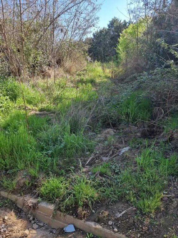 Αγροτεμάχια 3.810 τ.μ. προς πώληση, Ιερισσός