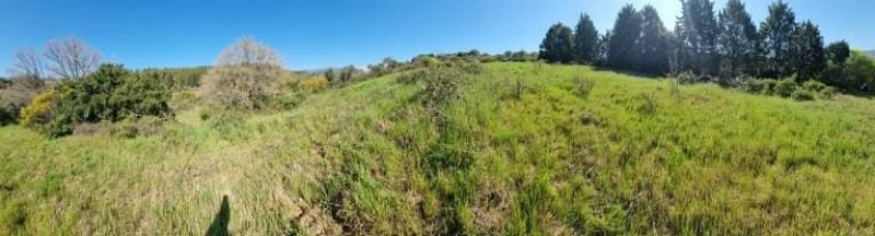 Αγροτεμάχια 3.810 τ.μ. προς πώληση, Ιερισσός