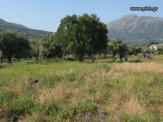 Οικόπεδο 902 τ.μ. για πώληση