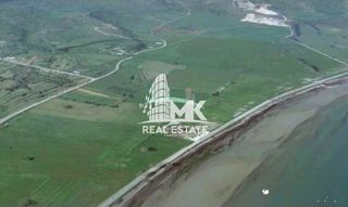 Αγροτεμάχια 14.000 τ.μ. για πώληση