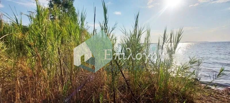 Οικόπεδο 1.100 τ.μ. προς πώληση, Καμίνια Βραχναιίκων