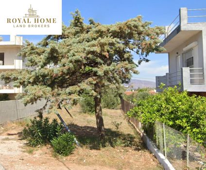 Οικόπεδο 537τ.μ. για πώληση-Παιανία » Τρίγωνο λαγού