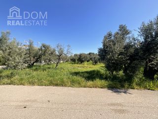 Οικόπεδο 1.000 τ.μ. για πώληση