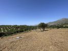 Parcel 5.000sqm for sale-Foinikas » Mariou
