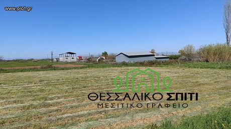 Land plot 890sqm for sale-Mouzaki » Mavrommati
