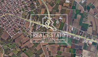 Αγροτεμάχια 9.650 τ.μ. για πώληση