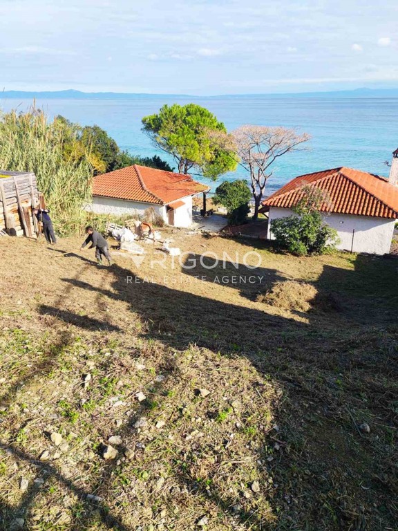 Αγροτεμάχια 544 τ.μ. προς πώληση, Άφυτος