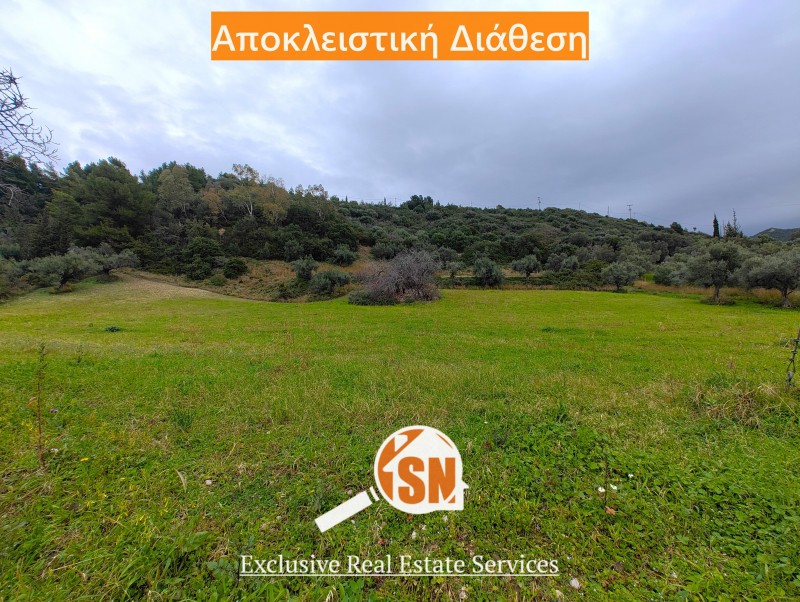 Οικόπεδο 8.050 τ.μ. προς πώληση, Κάτω Καστρίτσι