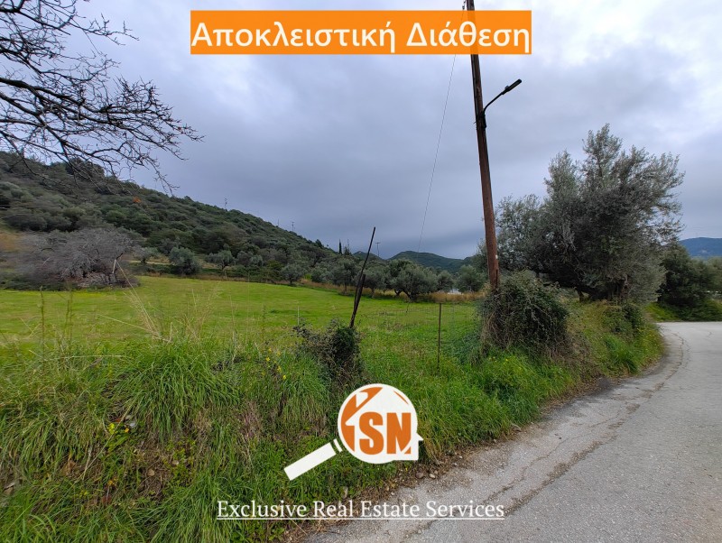 Οικόπεδο 8.050 τ.μ. προς πώληση, Κάτω Καστρίτσι
