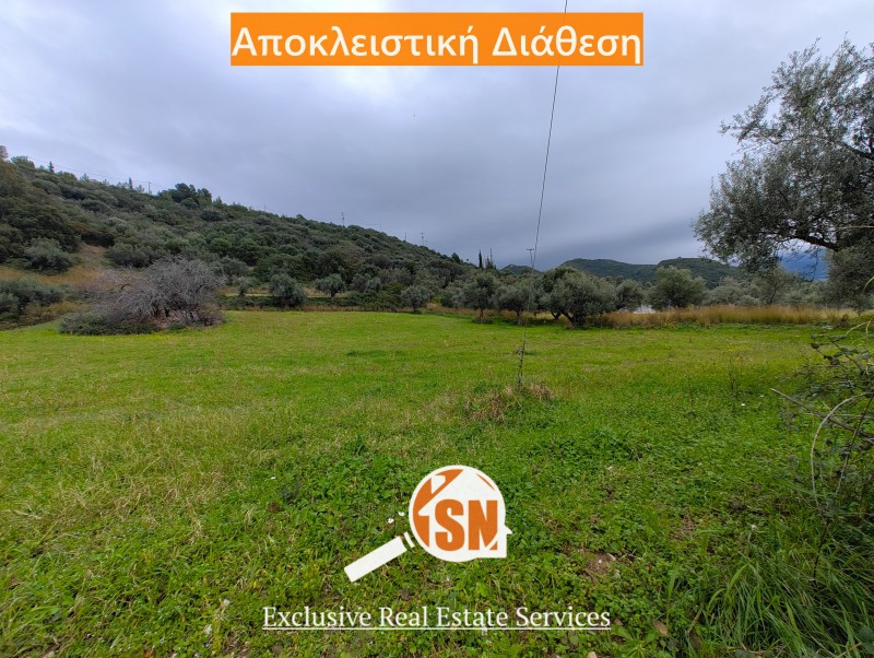 Οικόπεδο 8.050 τ.μ. προς πώληση, Κάτω Καστρίτσι