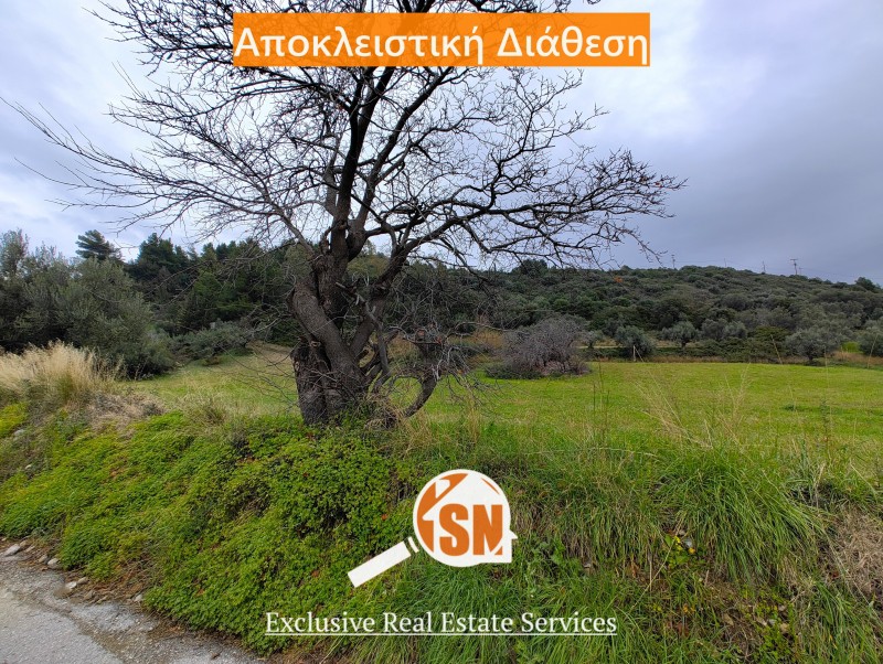 Οικόπεδο 8.050 τ.μ. προς πώληση, Κάτω Καστρίτσι