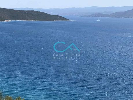 Parcel 4.000sqm for sale-Pelasgia » Glifa