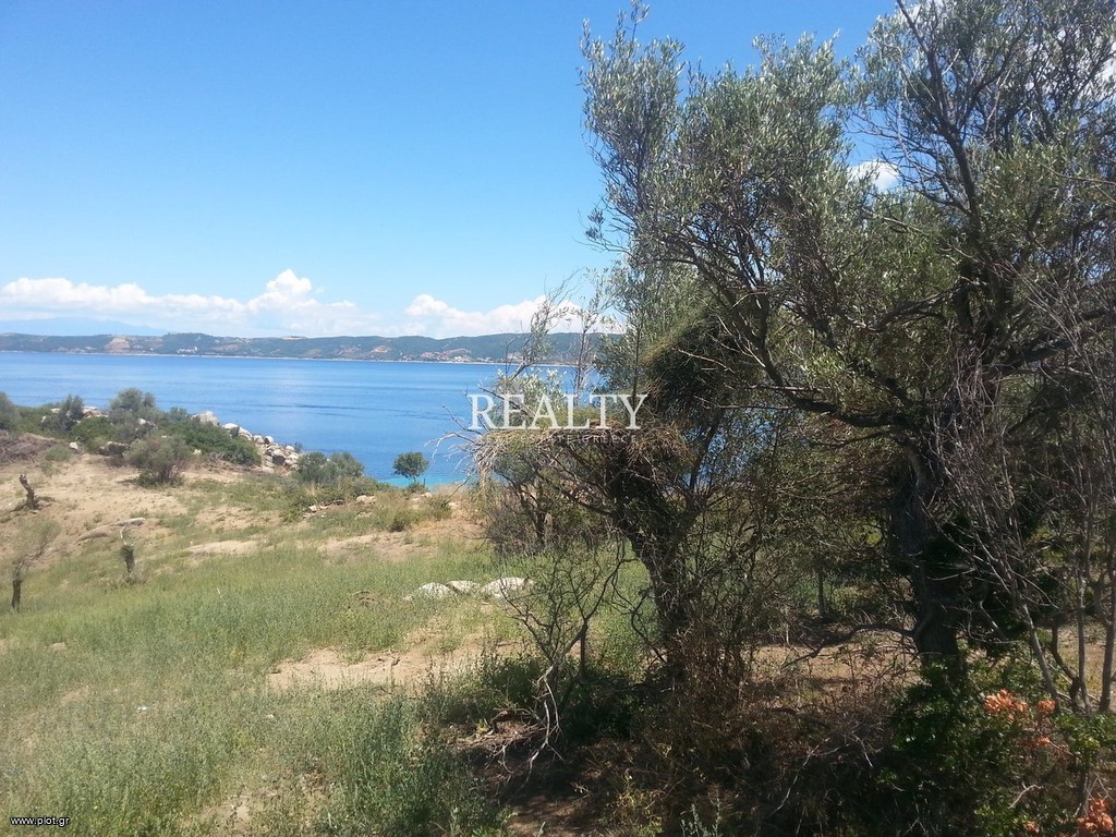 Οικόπεδο 11.165 τ.μ. προς πώληση, Αμμουλιανή