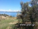 Land plot 11.165sqm for sale-Stagiron - Akanthou » Ammouliani