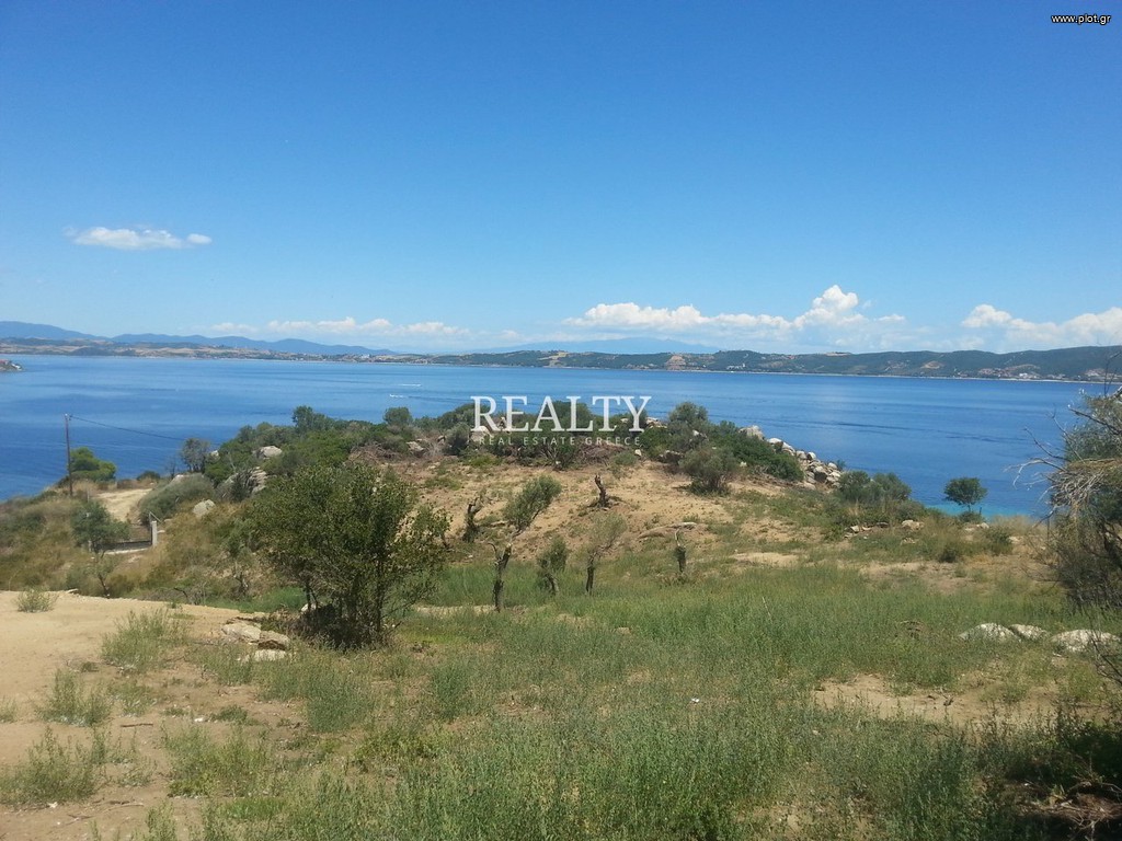 Οικόπεδο 11.165 τ.μ. προς πώληση, Αμμουλιανή
