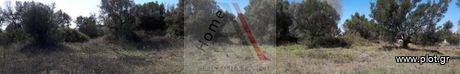Οικόπεδο 388 τ.μ. για πώληση