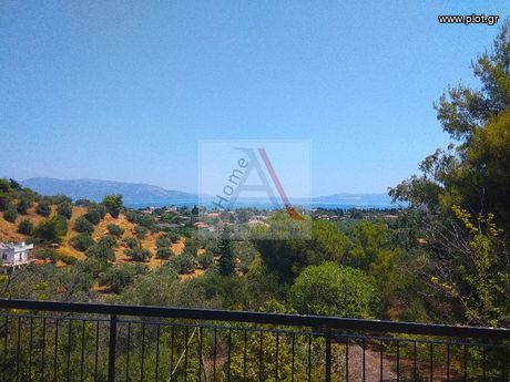 Αγροτεμάχια 16.401τ.μ. για πώληση-Ωρωπός » Κάμπος ωρωπού