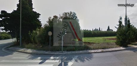 Αγροτεμάχια 20.000 τ.μ. για πώληση