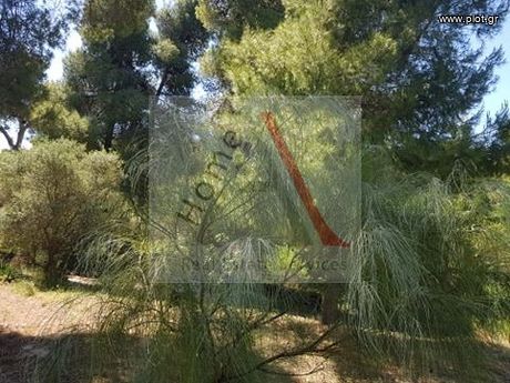 Οικόπεδο 950τ.μ. για πώληση-Άγιος στέφανος » Κέντρο
