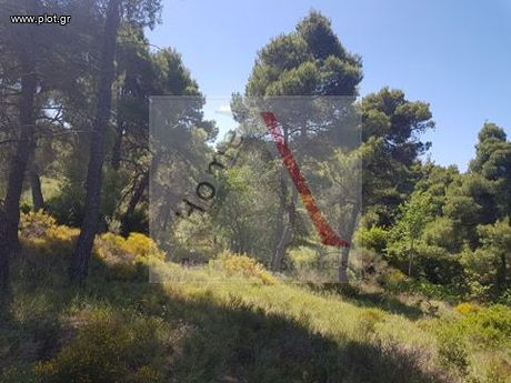 Οικόπεδο 500τ.μ. για πώληση-Άγιος στέφανος » Κέντρο