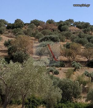 Οικόπεδο 7.687τ.μ. για πώληση-Κερατέα » Κέντρο
