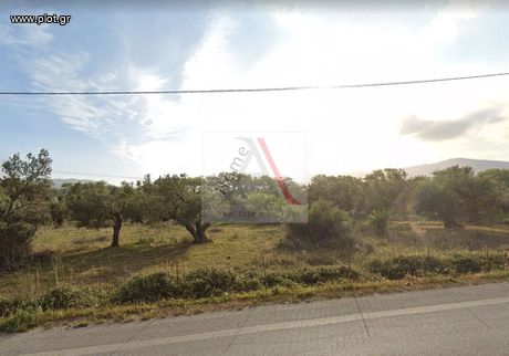 Land plot 8.011sqm for sale-Vocha » Zevgolatio