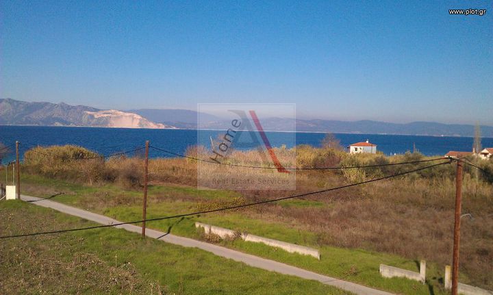 Land plot 1.500 sqm for sale, Evia, Artemisio