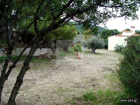 Οικόπεδο 1.079τ.μ. για πώληση-Αίγινα » Θερμά