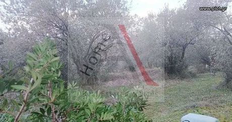 Οικόπεδο 2.809τ.μ. για πώληση-Αιδηψός » Άγιος
