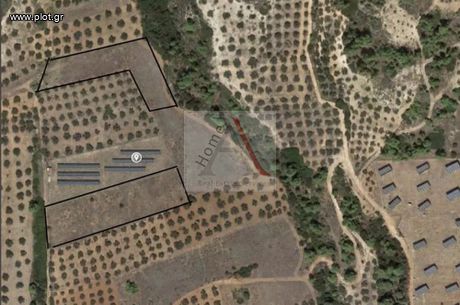 Αγροτεμάχια 9.000τ.μ. για πώληση-Σαρωνικός » Αθίκια